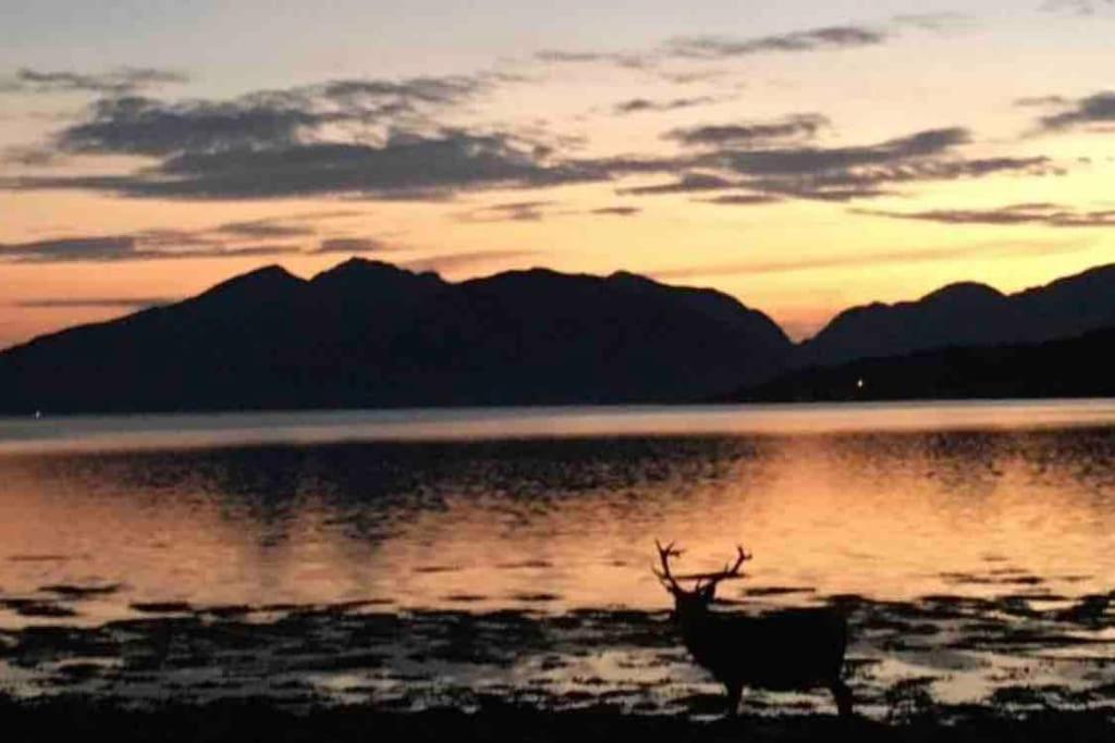 The Fox'S Den, Luxury Cosy Mini Lodge, Highlands North Ballachulish Buitenkant foto