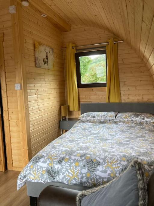 The Fox'S Den, Luxury Cosy Mini Lodge, Highlands North Ballachulish Buitenkant foto