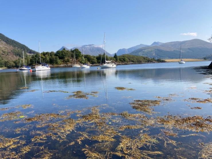 The Fox'S Den, Luxury Cosy Mini Lodge, Highlands North Ballachulish Buitenkant foto